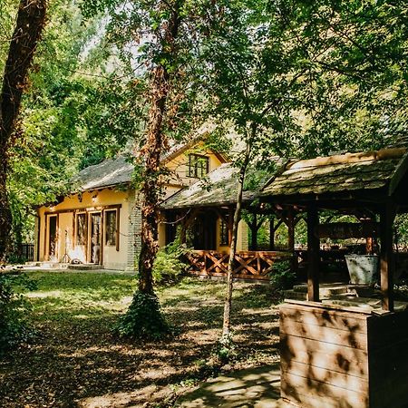 Forest House Палич Екстер'єр фото