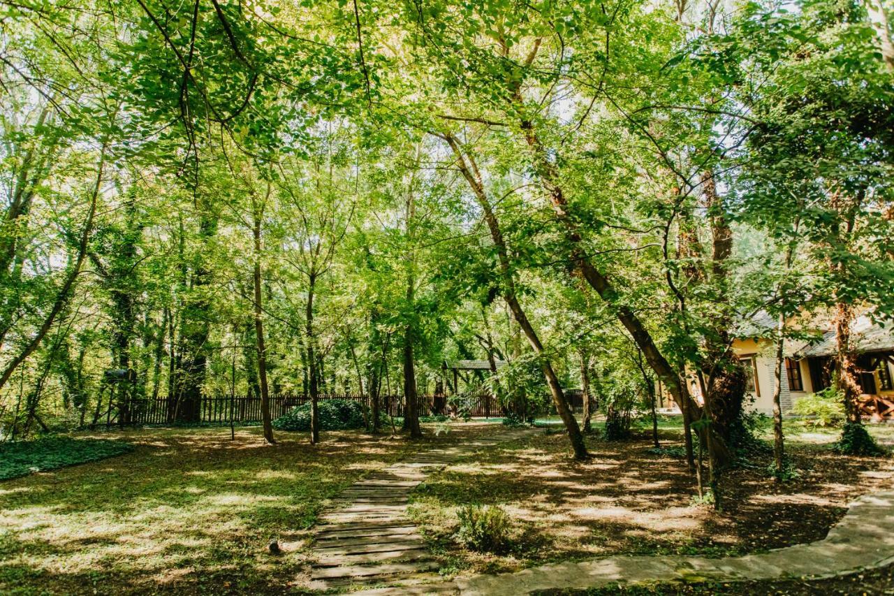 Forest House Палич Екстер'єр фото