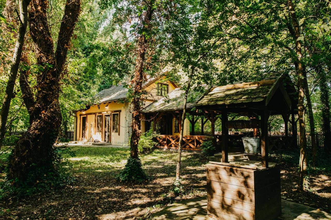 Forest House Палич Екстер'єр фото