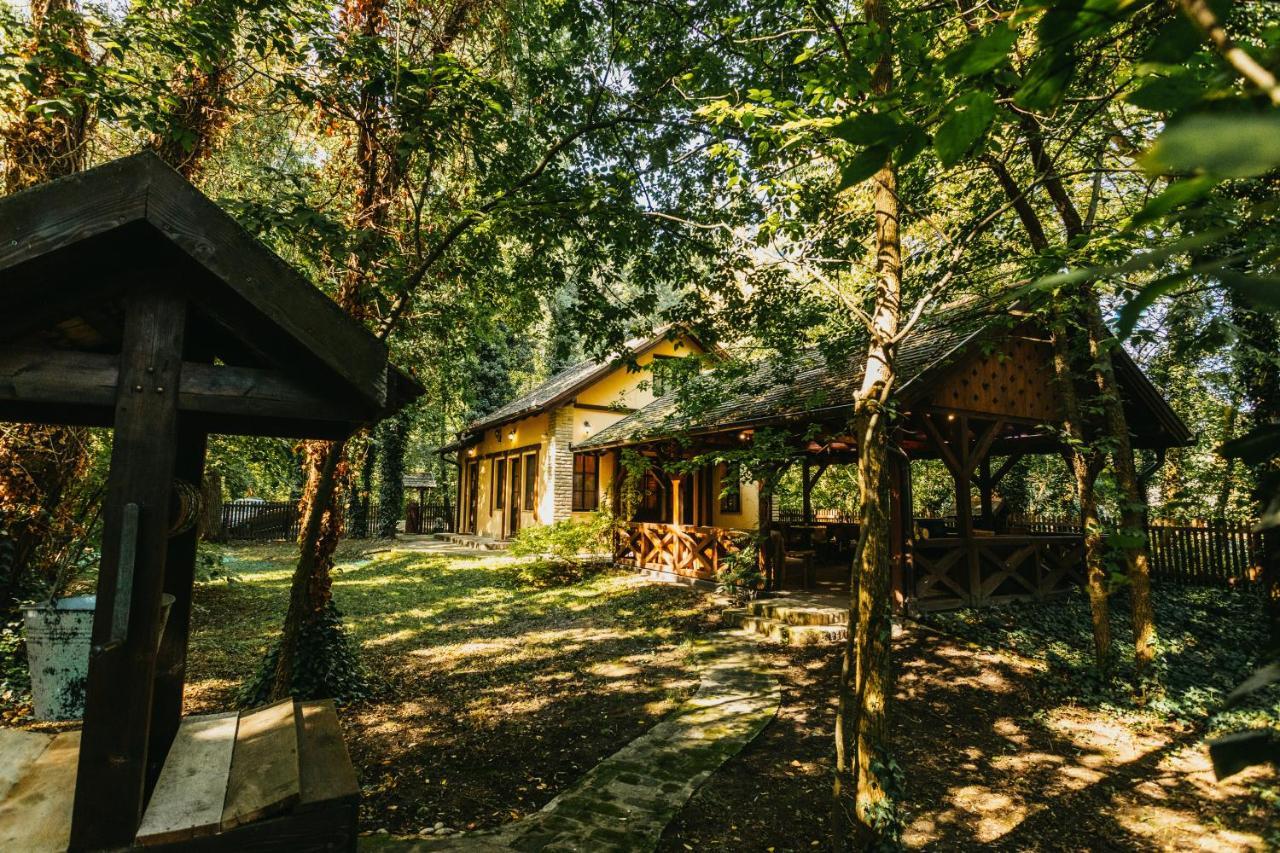 Forest House Палич Екстер'єр фото