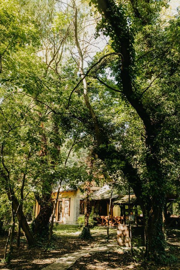 Forest House Палич Екстер'єр фото